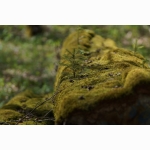 20190930 Baeumchen DSC08921.jpg